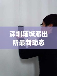 深圳辅城派出所最新动态