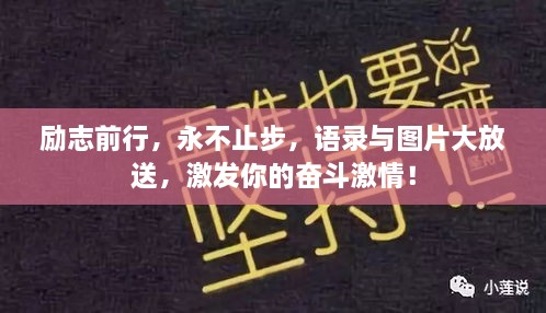 励志前行，永不止步，语录与图片大放送，激发你的奋斗激情！