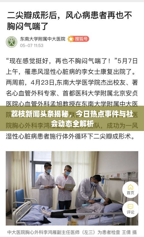 荔枝新闻头条揭秘，今日热点事件与社会动态全解析