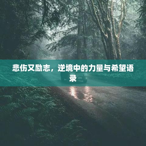 悲伤又励志，逆境中的力量与希望语录