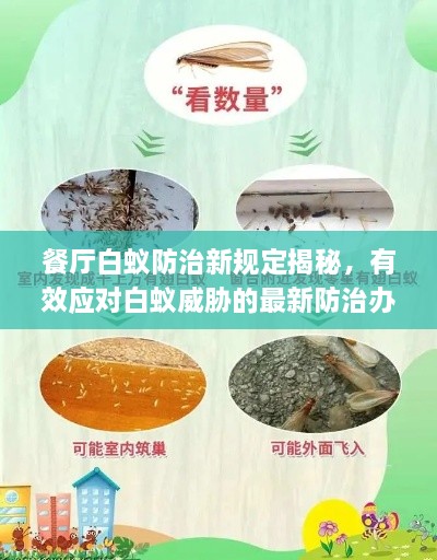 餐厅白蚁防治新规定揭秘，有效应对白蚁威胁的最新防治办法