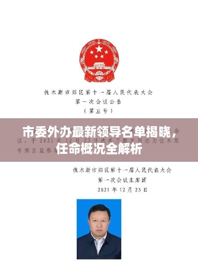 市委外办最新领导名单揭晓，任命概况全解析