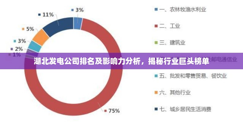 湖北发电公司排名及影响力分析，揭秘行业巨头榜单