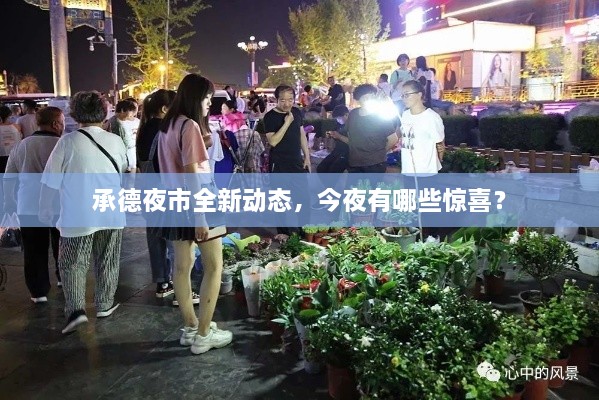 承德夜市全新动态，今夜有哪些惊喜？