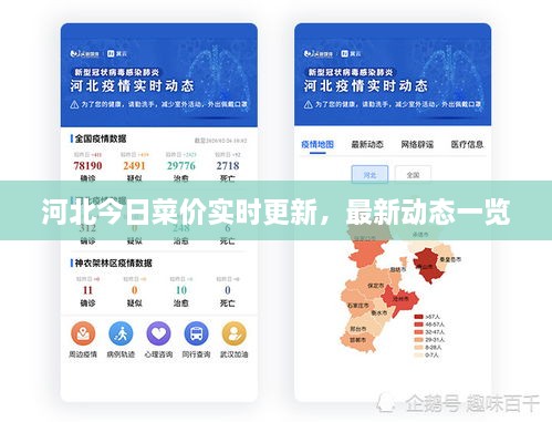 河北今日菜价实时更新，最新动态一览