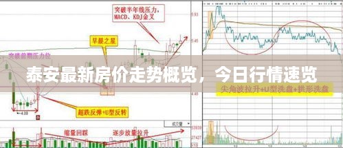 泰安最新房价走势概览，今日行情速览