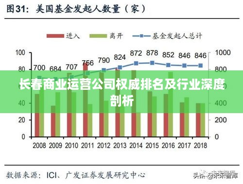 长春商业运营公司权威排名及行业深度剖析