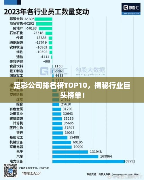 足彩公司排名榜TOP10，揭秘行业巨头榜单！