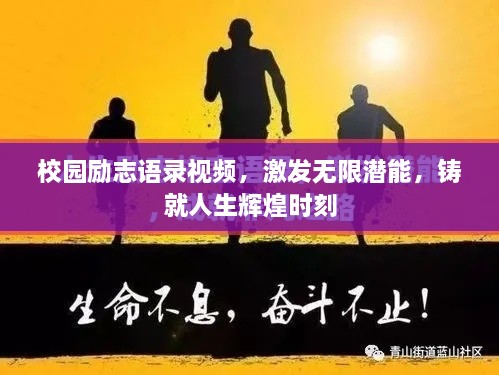 校园励志语录视频，激发无限潜能，铸就人生辉煌时刻