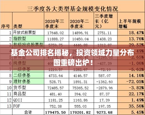 基金公司排名揭秘，投资领域力量分布图重磅出炉！