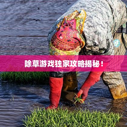 除草游戏独家攻略揭秘！