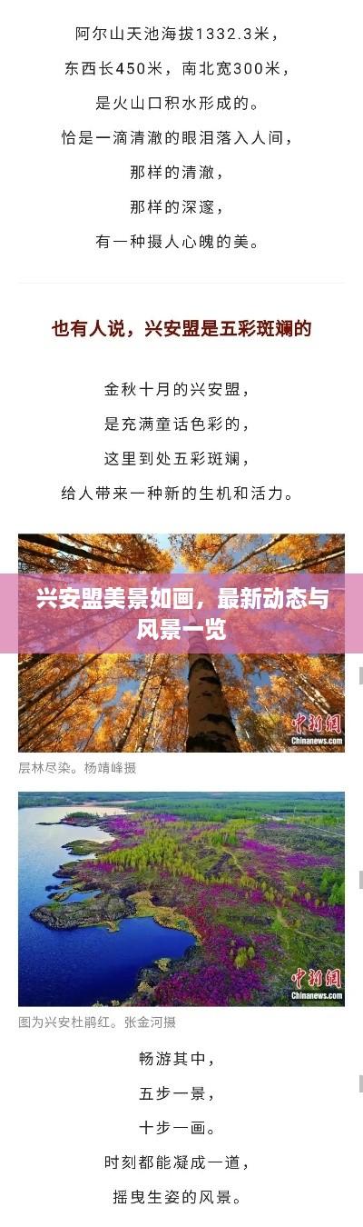 兴安盟美景如画，最新动态与风景一览