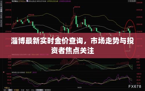 淄博最新实时金价查询，市场走势与投资者焦点关注