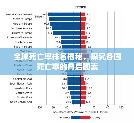 全球死亡率排名揭秘，探究各国死亡率的背后因素