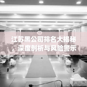 江苏黑公司排名大揭秘，深度剖析与风险警示！