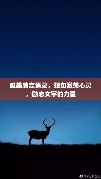 唯美励志语录，短句激荡心灵，励志文字的力量