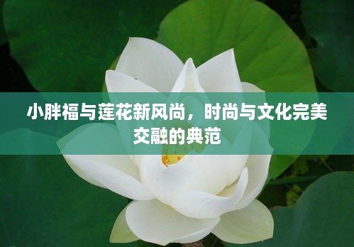 小胖福与莲花新风尚，时尚与文化完美交融的典范