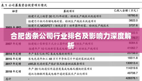 合肥齿条公司行业排名及影响力深度解析