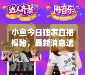 小鱼今日独家直播揭秘，最新消息速递！