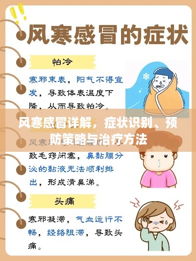 风寒感冒详解，症状识别、预防策略与治疗方法