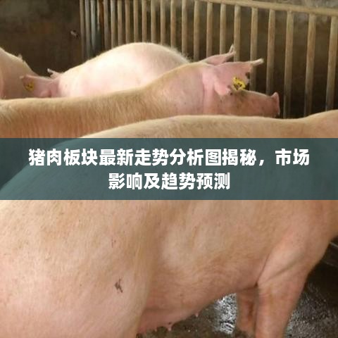 猪肉板块最新走势分析图揭秘，市场影响及趋势预测