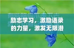 励志学习，激励语录的力量，激发无限潜能