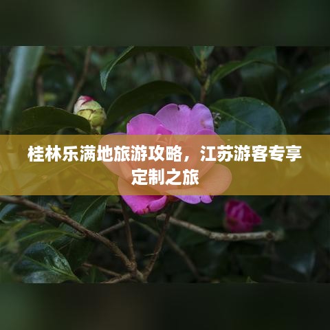 桂林乐满地旅游攻略，江苏游客专享定制之旅
