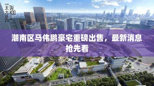 潮南区马伟鹏豪宅重磅出售，最新消息抢先看
