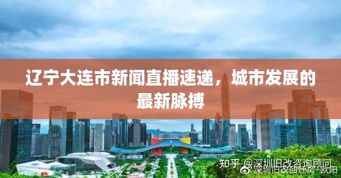 辽宁大连市新闻直播速递，城市发展的最新脉搏