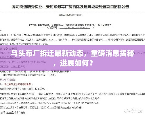马头布厂拆迁最新动态，重磅消息揭秘，进展如何？