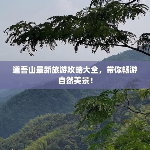道吾山最新旅游攻略大全，带你畅游自然美景！
