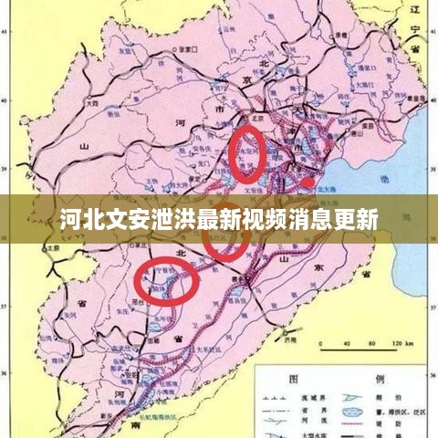 河北文安泄洪最新视频消息更新
