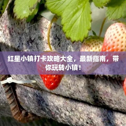 红星小镇打卡攻略大全，最新指南，带你玩转小镇！