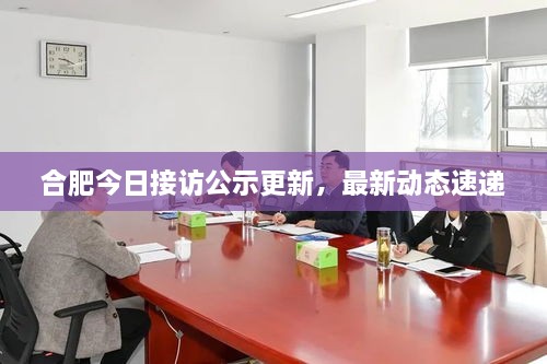 合肥今日接访公示更新，最新动态速递