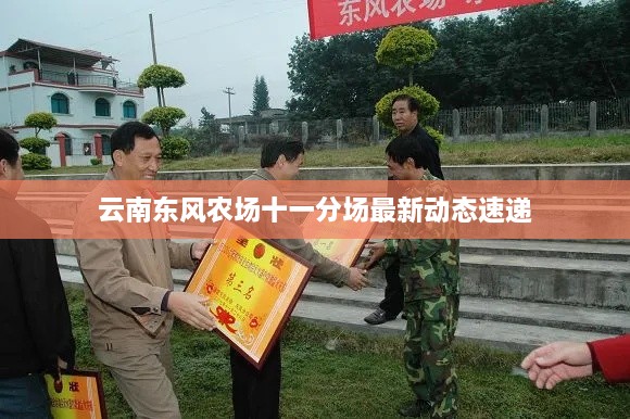 云南东风农场十一分场最新动态速递