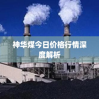 神华煤今日价格行情深度解析