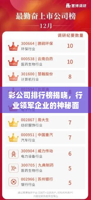 彩公司排行榜揭晓，行业领军企业的神秘面纱！