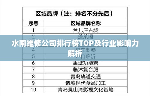 水闸维修公司排行榜TOP及行业影响力解析
