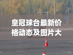 皇冠球台最新价格动态及图片大全展示