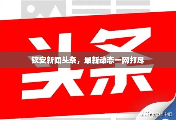 钦安新闻头条，最新动态一网打尽