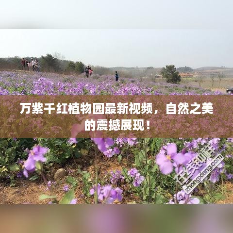 万紫千红植物园最新视频，自然之美的震撼展现！