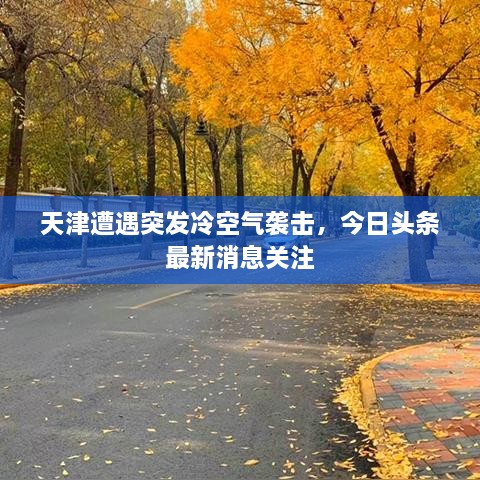 天津遭遇突发冷空气袭击，今日头条最新消息关注
