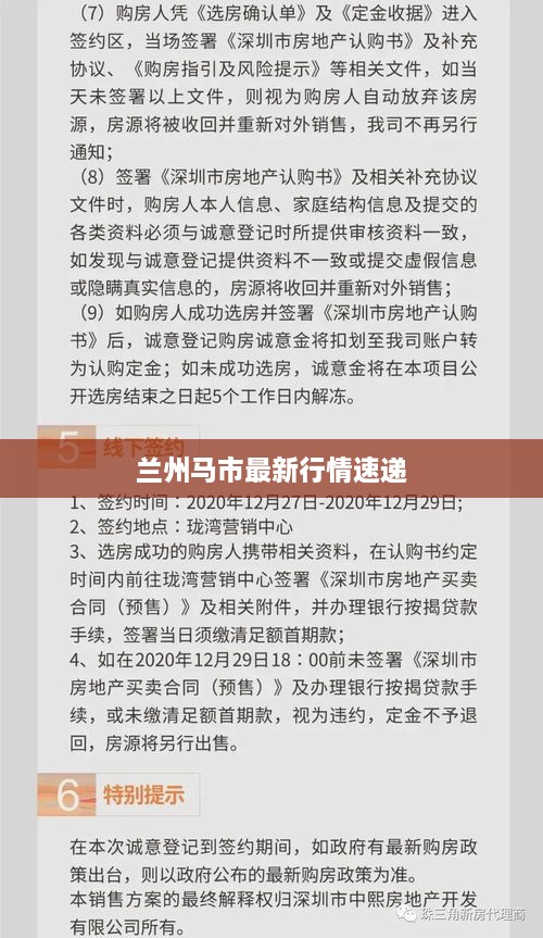兰州马市最新行情速递