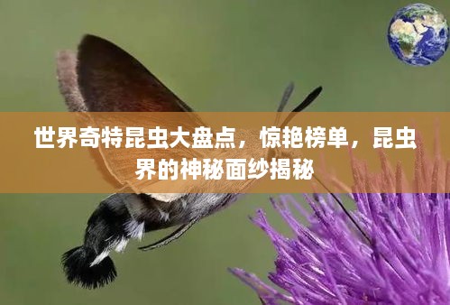 世界奇特昆虫大盘点，惊艳榜单，昆虫界的神秘面纱揭秘