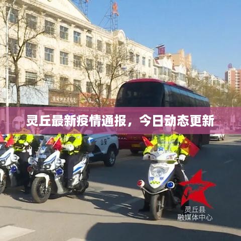 灵丘最新疫情通报，今日动态更新