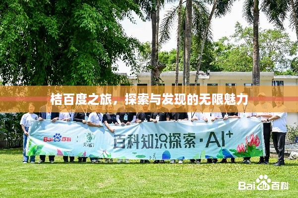 桔百度之旅，探索与发现的无限魅力