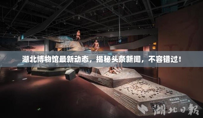 湖北博物馆最新动态，揭秘头条新闻，不容错过！