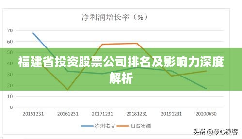 福建省投资股票公司排名及影响力深度解析