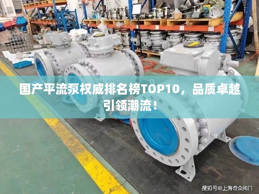 国产平流泵权威排名榜TOP10，品质卓越引领潮流！