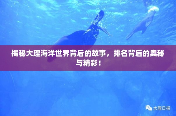 揭秘大理海洋世界背后的故事，排名背后的奥秘与精彩！